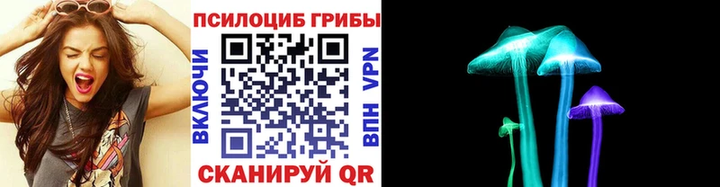 купить наркотик  Приморск  Псилоцибиновые грибы мицелий 